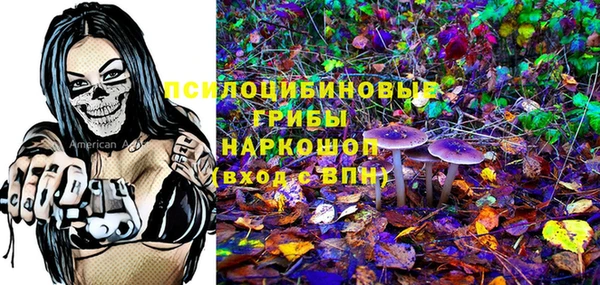 a pvp Каменск-Шахтинский
