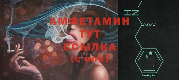 стаф Каменногорск