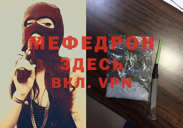 стаф Каменногорск