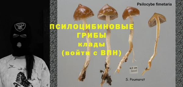 стаф Каменногорск