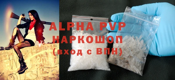 стаф Каменногорск