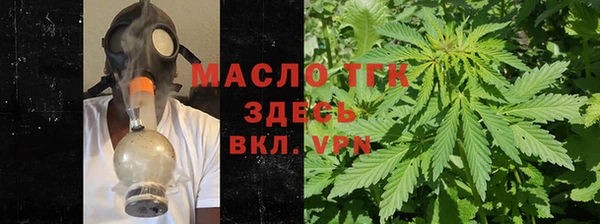 стаф Каменногорск