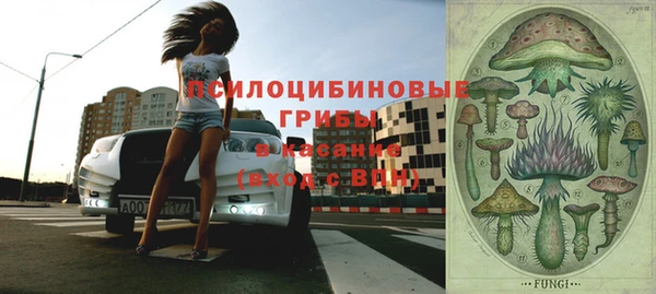 экстази Каменка