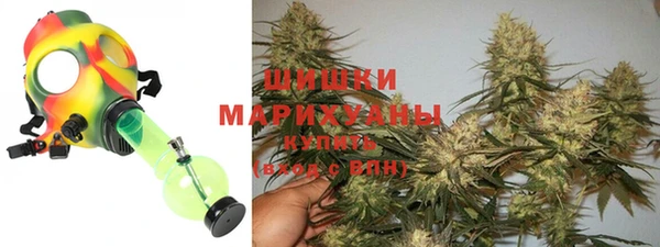 стаф Каменногорск
