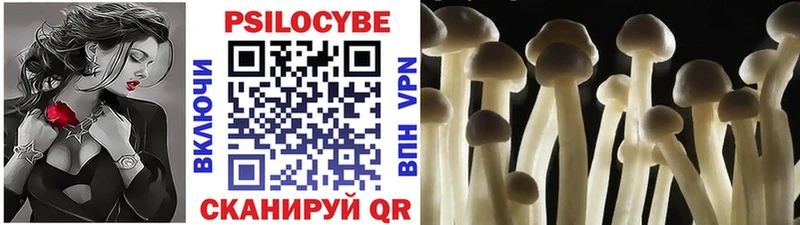 Галлюциногенные грибы Psilocybe  Купить где  Белая Холуница 